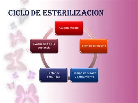 ciclos de esterilización